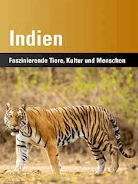 Indien - Harald Lydorf - ebook