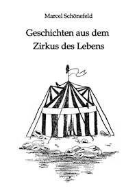 Geschichten aus dem Zirkus des Lebens - Marcel Schönefeld - ebook