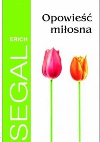 Opowieść miłosna - Erich Segal - ebook