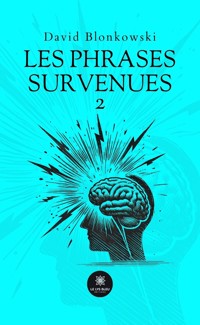 Les phrases survenues 2 - David Blonkowski - ebook