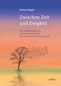 Zwischen Zeit und Ewigkeit - Richard Stiegler - ebook