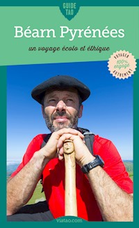 Béarn Pyrénées - David Debrincat - ebook
