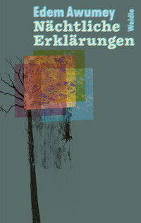 Nächtliche Erklärungen - Edem Awumey - ebook