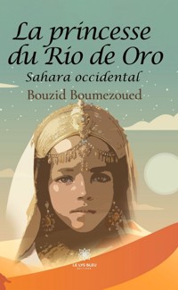 La princesse du Rio de Oro - Bouzid Boumezoued - ebook