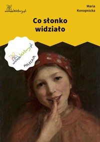 Co słonko widziało - Maria Konopnicka - ebook + audiobook