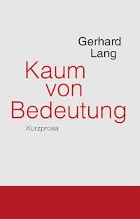 Kaum von Bedeutung - Gerhard Lang - ebook