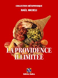 La Providence Illimitée - Raúl Micieli - ebook