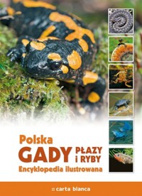 Polska Gady płazy i ryby Encyklopedia ilustrowana -  - książka