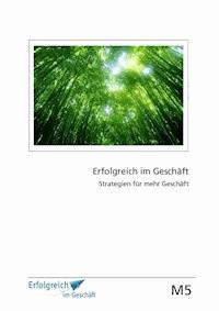 Modul 5: Strategien für mehr Geschäft - Martina Caspary - ebook