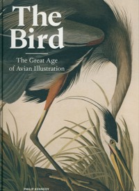 The Bird - Kennedy Philip - książka