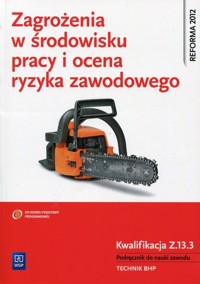 Zagrożenia w środowisku pracy i ocena ryzyka zawodowego Podręcznik do nauki zawodu Kwalifikacja Z.13.3 - Bukała Wanda, Cieszkowski Tadeusz - książka