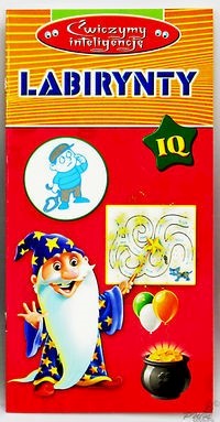 Ćwiczymy Inteligencję - Labirynty -  - książka