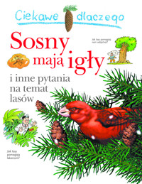 Ciekawe dlaczego sosny mają igły - Jackie Gaff - książka