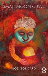 Small Moon Curve - Roz Goddard - ebook