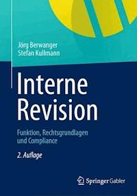 Interne Revision - Jörg Berwanger - ebook