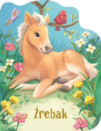 Źrebak - Rosalee Wren, Felia Hanakata (ilustr.) - książka