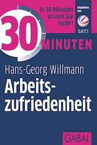 30 Minuten Arbeitszufriedenheit - Hans-Georg Willmann - ebook