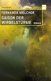 Saison der Wirbelstürme - Melchor Fernanda - ebook