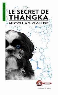 Le secret de Thangka - Nicolas Gaube - ebook