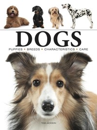 Dogs - Jackson Tom - książka