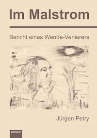 Im Malstrom - Jürgen Petry - ebook