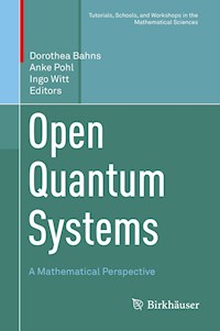 Open Quantum Systems -  - ebook