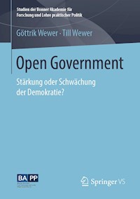 Open Government - Göttrik Wewer - ebook