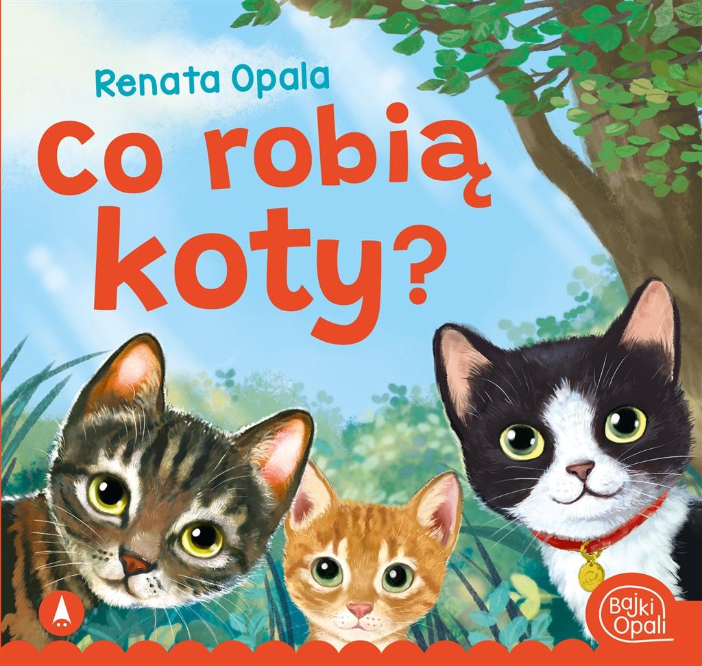 Co robią koty? - Renata Opala - książka