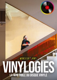 Vinylogies - Monsieur Vinyl - ebook
