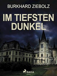 Im tiefsten Dunkel - Kriminalroman - Burkhard Ziebolz - ebook