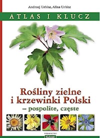 Rośliny zielne i krzewinki Polski - Urbisz Andrzej, Urbisz Alina - książka