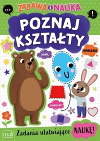 Zabawa i nauka. Poznaj kształty - zbiorowa praca - książka
