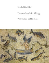 Tausendundein Alltag - Reinhold Schiffer - ebook