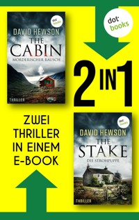 The Cabin & The Stake - David Hewson - ebook