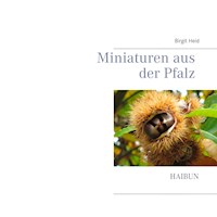 Miniaturen aus der Pfalz - Birgit Heid - ebook