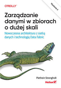 Zarządzanie danymi w zbiorach o dużej skali. Nowoczesna architektura z siatką danych i technologią - Piethein Strengholt - książka