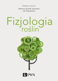 Fizjologia roślin - Szmidt-Jaworska Adriana, Kopcewicz Jan - książka