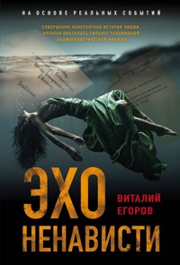 Эхо ненависти - Виталий Егоров - ebook