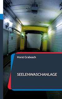 Seelenwaschanlage - Horst Grabosch - ebook