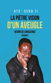 La piètre vision d’un aveugle - ATS’-SEKA II - ebook