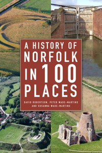 A History of Norfolk in 100 Places - Robertson David - ebook