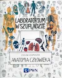 Laboratorium w szufladzie Anatomia człowieka - Adamaszek Zasław - książka