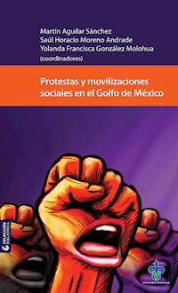 Protestas y movilizaciones sociales en el Golfo de México -  - ebook