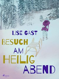 Besuch am Heiligabend - lise  gast  - ebook
