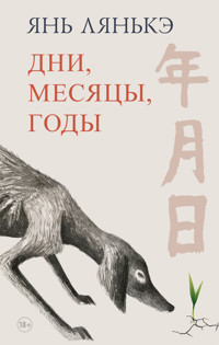 Дни, месяцы, годы - Янь Лянькэ - ebook