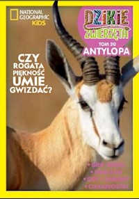 Dzikie Zwierzęta 20 Antylopa -  - książka