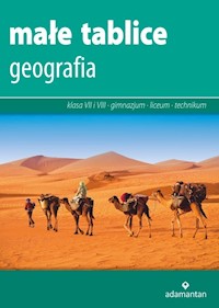 Małe tablice Geografia - Mizerski Witold, Żukowski Jan, Żukowska Jadwiga - książka