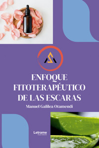 Enfoque fisoterapéutico de las escaras - Manuel Galilea Otamendi - ebook