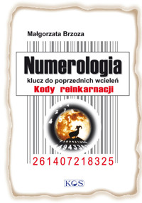 Numerologia klucz do poprzednich wcieleń - Brzoza Małgorzata - książka