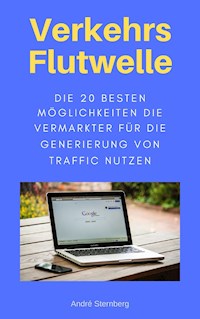Verkehrs Flutwelle - Andre Sternberg - ebook